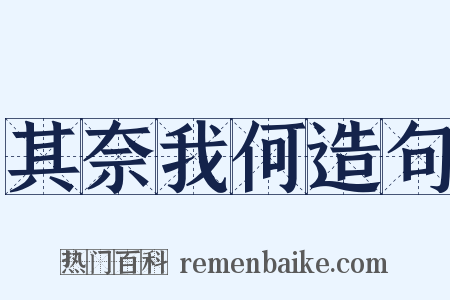 其奈我何造句是什么意思的图片